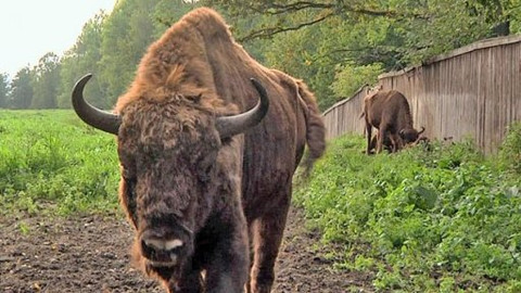 Na cestě - Na cestě po Mazurských jezerech