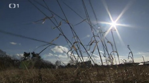 Černé ovce - 31. března 2014