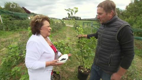 Hobby naší doby - 9. listopadu 2019