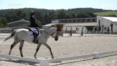 Jezdectví - M ČR v drezuře a v paradrezuře Zduchovice