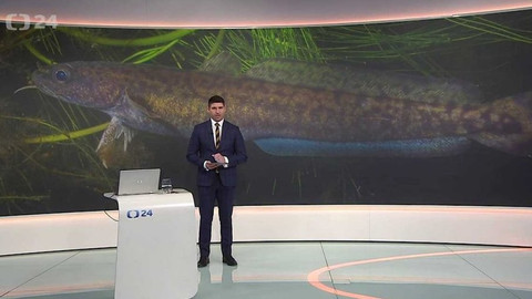 90’ ČT24 - 30 let národního parku Šumava