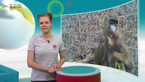 Zprávičky - 6. března 2021