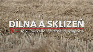 Obrázek pořadu Dílna a sklizeň - 30 let Mikulovského výtvarného sympozia