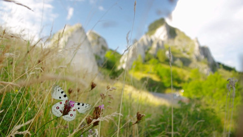 Nedej se! - Strážci Bílých Karpat
