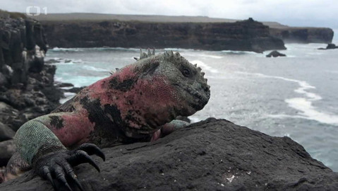 Objektiv - 25. června 2023