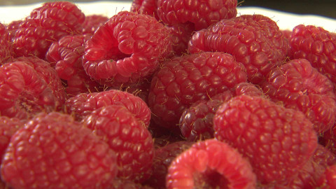 Černé ovce - 4. března