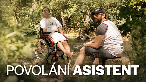 Povolání asistent