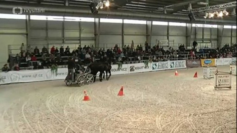 Jezdectví - Jezdecký festival v Lysé nad Labem