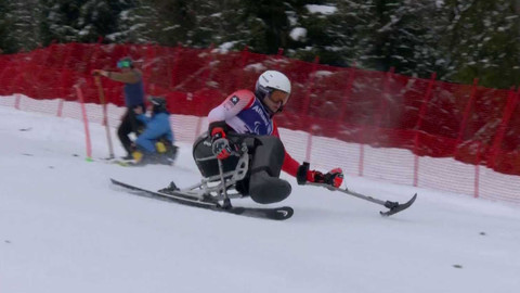 XIV. zimní paralympijské hry 2026 Milano Cortina - Alpské lyžování
