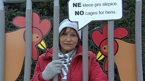 Chcete mě? - 23. ledna 2009