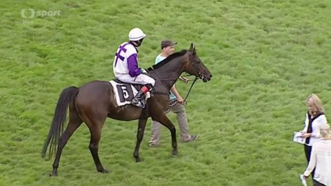 Jezdectví - II. kvalifikace na 125. Velkou pardubickou s Českou pojišťovnou