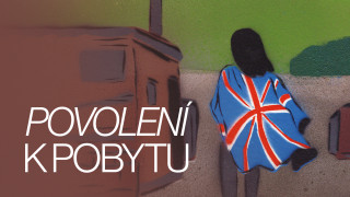 Povolení k pobytu