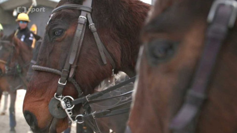 Jezdectví - Czech Snow Polo Masters 2017