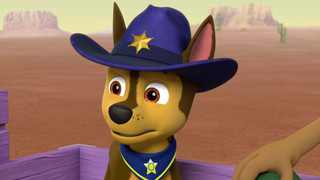 Tlapková patrola IV