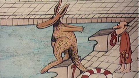 Z klokaní kapsy - 10/12 Pouze pro plavce