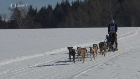 Sport v regionech - M ČR v závodech psích spřežení, Zásada