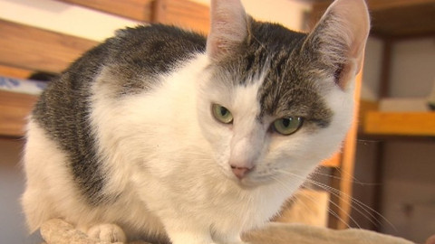 Chcete mě? - Chcete je?