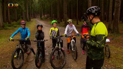 Lvíčata - 28. listopadu 2020