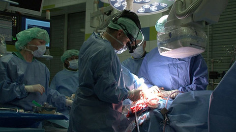 O vědě a vědcích - Dialog s tělem