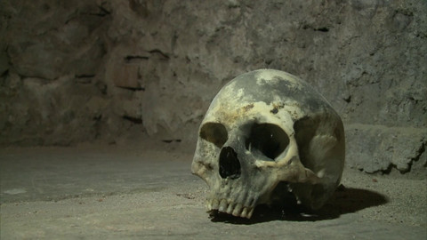 Pološero - Co se skrývá pod povrchem