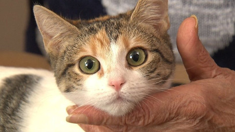 Chcete mě? - Chcete je?