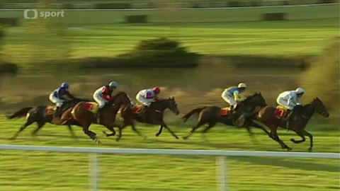 Turf - 30. října 2013