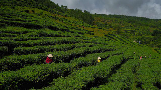 Na cestě po střeše Indočíny