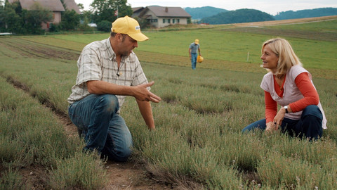 Kouzelné bylinky - Švýcarsko, země bylinářů
