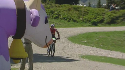 Cyklistika - Alpen tour