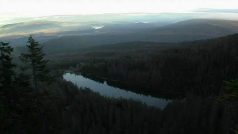 Živé srdce Evropy - Plešné jezero