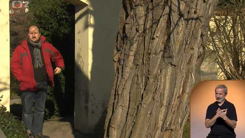 Sváteční slovo - Sváteční slovo pastoračního asistenta Martina Staňka