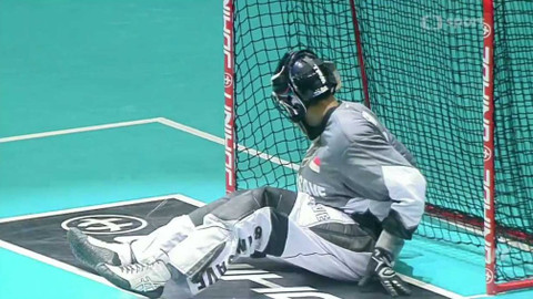 MS ve florbalu 2018 Česko - MS 2018 Česko