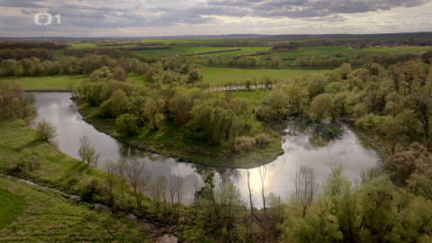 Kořeny lesa - Epizoda 8/40