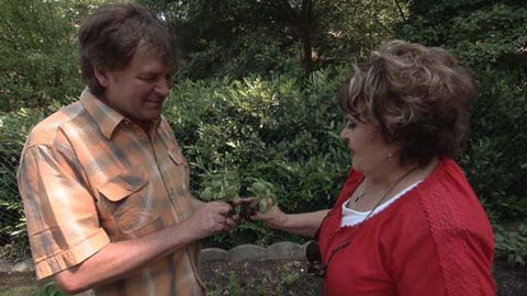 Hobby naší doby - 26. března 2016