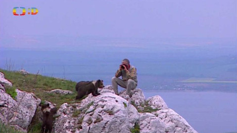 Méďové - Cesta za sluncem