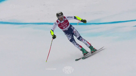 Sport roku - Lyžování