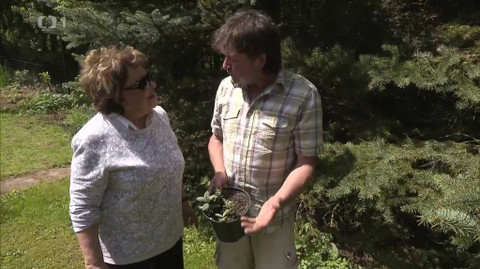 Hobby naší doby - 20. června 2015