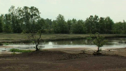 Živé srdce Evropy - Soos