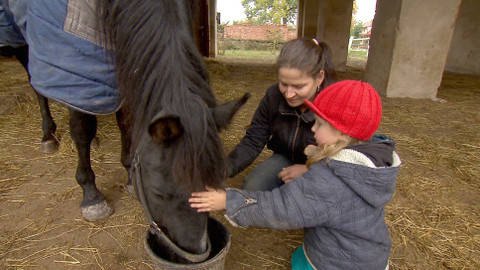 Chcete mě? - 13. listopadu 2016