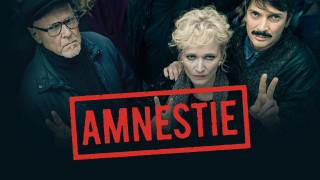 Amnestie