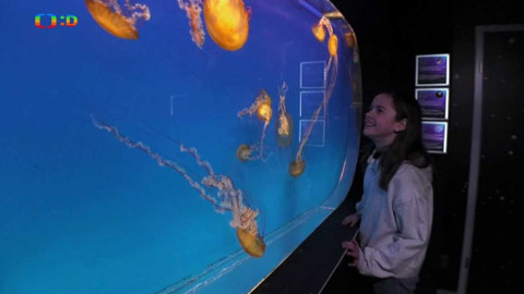 Wifina - 21. února 2020