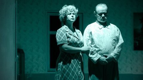 Záznamy představení regionálních divadel - Cena facky