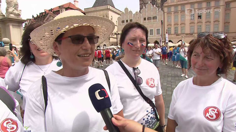 XVII. všesokolský slet - Sletový průvod