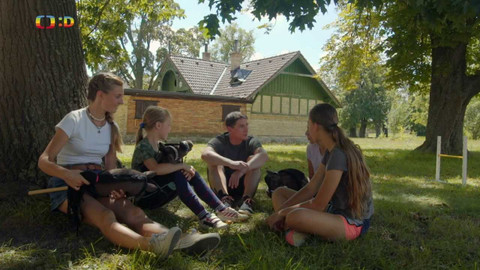 V pohybu! - 8/12 Hobby