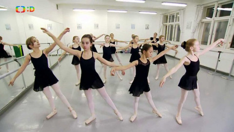 Lvíčata - 16. prosince 2017