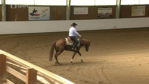 Jezdectví - M ČR v reiningu Kozlovice