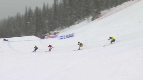Světový pohár ve freestyle lyžování - SP Švédsko