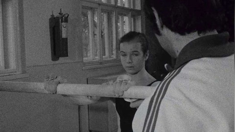 Archiv D - Hvězdičky