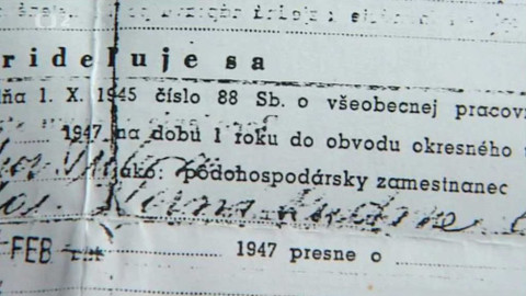 Do země (ne)zaslíbené