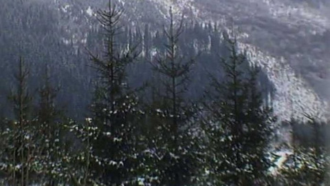 Archiv ČT24 - Sedmičkové prosince